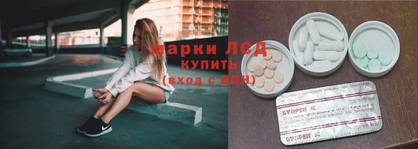 mdpv Бородино