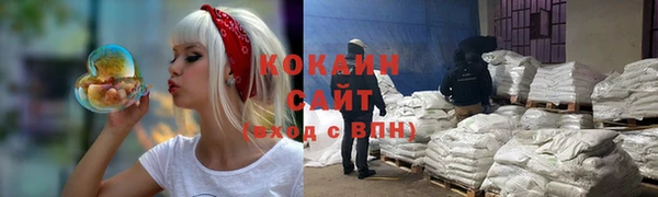 mdpv Бородино