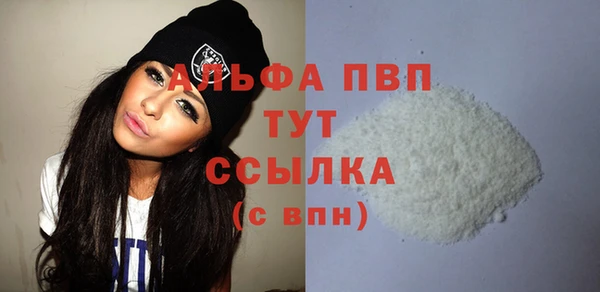 mdpv Бородино