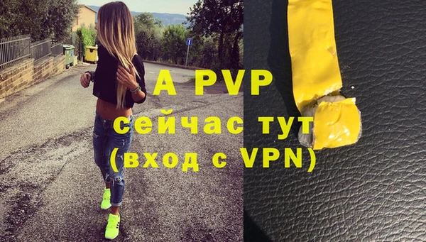 mdpv Бородино