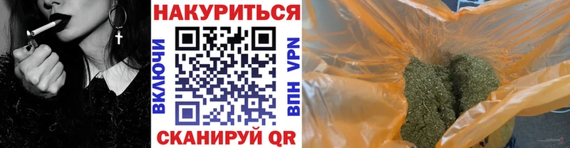Каннабис конопля  Луза 